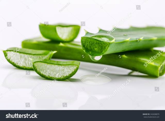 pack aloe vera